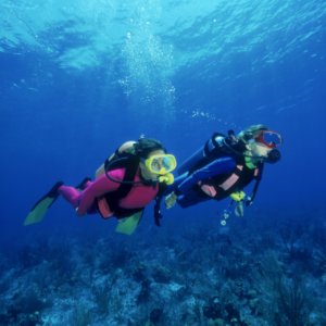 South Padre Island Vacation Scuba Diving: What You Should Know