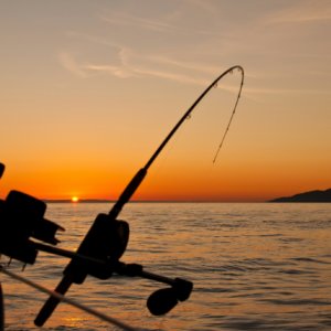 Cast a Line in Paradise: A Comprehensive Guide to Fishing Excursions on South Padre Island