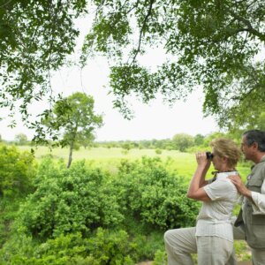 Discover the Best Bird-Watching Locations on South Padre Island