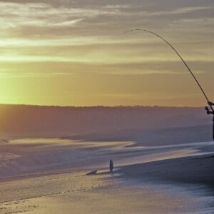 Beginner’s Guide to Fishing in South Padre Island