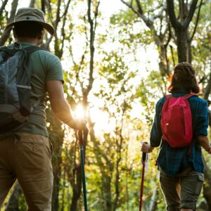 Top Nature Trails to Explore on South Padre Island