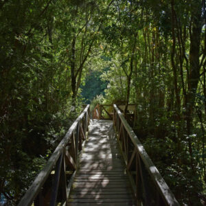 Nature Trails to Explore on South Padre Island