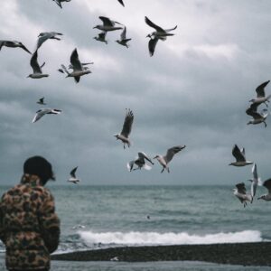 Tips for Bird Watching on South Padre Island