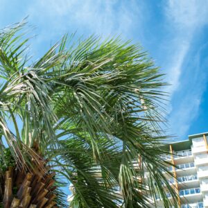 Hidden Costs to Watch for When Renting Beach Condos